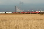 CP NB grain train